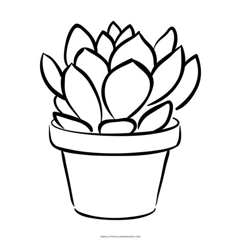 This product is destined for endless possibilities, stickers, badges, shirts, invitations, greeting cards, toys, craft paper, web design. Succulent Coloring Page - Ultra Coloring Pages