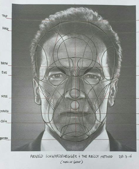11 Reilly method ideas | drawing heads, anatomy drawing, portrait drawing