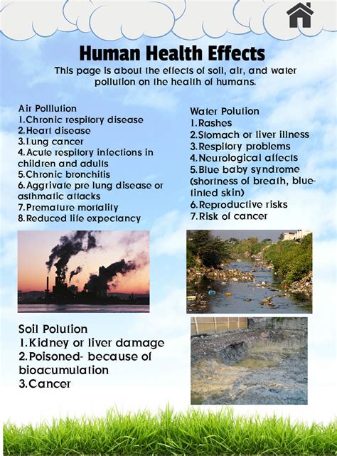 What are the effects of water pollution. Human health effects: air pollution, ecology, en, human ...