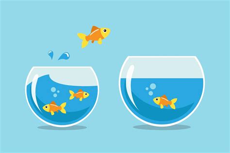 Laman utama » permainan » trivia » the fishbowl game. Golden fish jumping from one bowl to another - Download ...