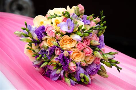 #flowers #bouquet #flower bouquet #pink #purple #roses #rose bouquet #pink roses #purple roses #pink things #pink aesthetic #girly #glam #style #classy #beautiful #luxury. Free fotobanka : květ, nachový, okvětní lístek, letní, dar ...