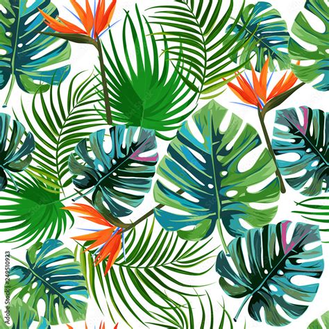 Tropical Dark Green Leaves Of Palm Trees And Flowers Bird Of Paradise