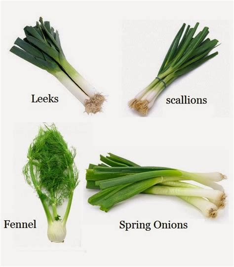 Chives, scallions, and green onions provide an abundance of nutrients, especially when they are served fresh and raw. How to Re-Grow Leeks, Scallions, Spring Onions and Fennel ...
