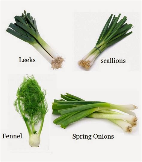 Leeks thrive in traditional garden beds, raised beds, or even in tall containers, so choose whatever works best for you. How to Re-Grow Leeks, Scallions, Spring Onions and Fennel ...