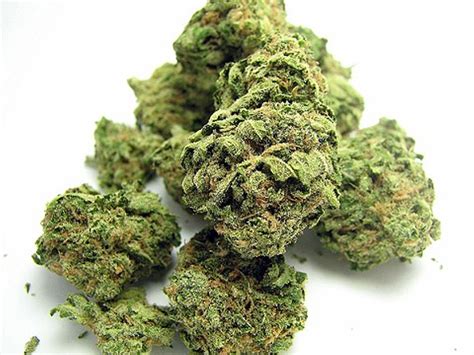 Best Marijuana Strains of Summer 2016 | Cannabis | East Bay Express
