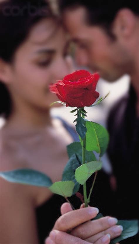 17 Best Images About Romance And Roses ♥ ♥ ♥ On Pinterest Romantic