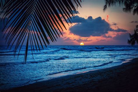 barbados caribbean barbados caribbean sea evening beach sunset