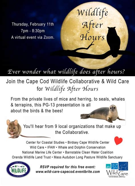 Wildlife After Hours - Orenda Wildlife Land Trust