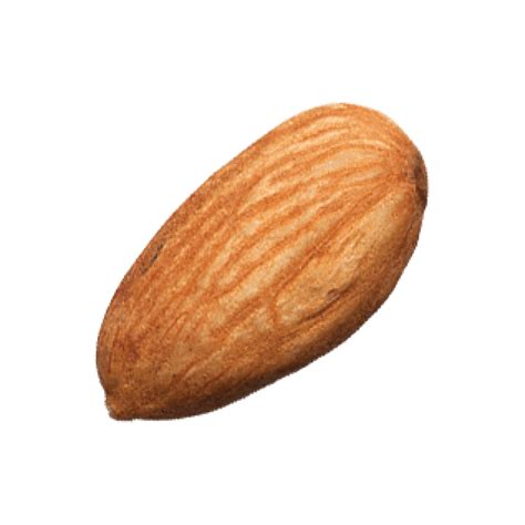Single Of Almond Nut 12596334 Png