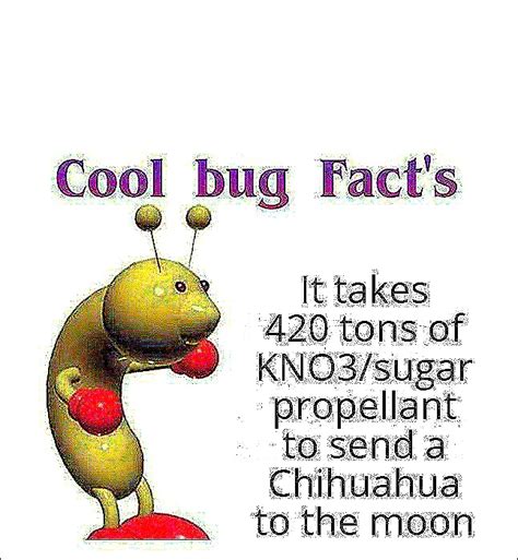 Cool Bug Facts Rdankmemes