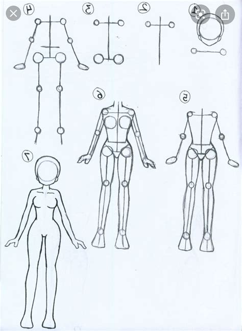 Anime Body Style Comparison By Yumezaka Drawing Anime Bodies Drawing