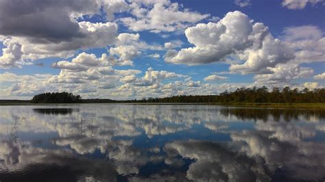 Всемирный день водных ресурсов призывает говорить о проблеме, которая касается каждого человека на планете, и в 1994 году организаторы предлагали считать заботу о водных ресурсах делом каждого человека. 22 марта отмечается Всемирный день воды - YouTube