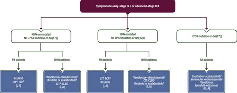 Chronic Lymphocytic Leukaemia Esmo Clinical Practice Guidelines For