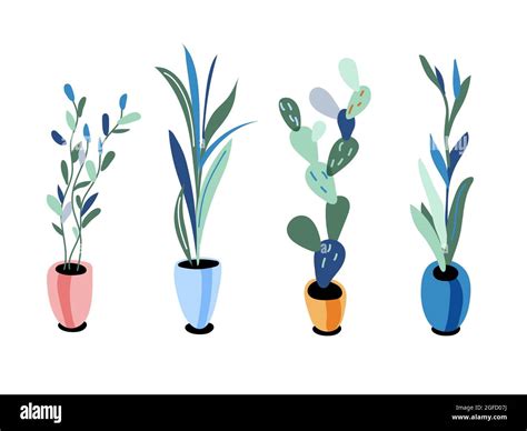 Plants In Pots Flat Vector Illustrations Set Stock Vector Image And Art