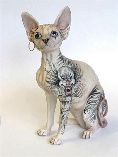 Gatos que han sido sometidos a tatuajes por sus amos สตว แมวนอย แมว