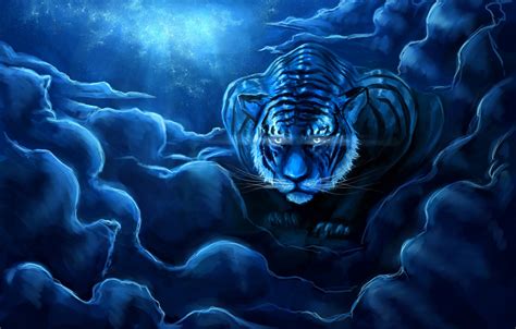 Wallpaper The Sky Night Tiger Art Zepher234 Images For Desktop