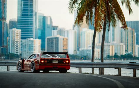 Wallpaper The City Morning Photographer Ferrari F40 Florida Miami
