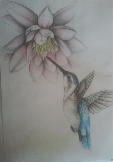 Hummingbird With A Lotus Flower By Balticdragon On Deviantart