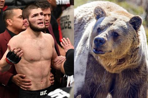 Watch When A Grown Up Khabib Nurmagomedov Wrestled With A Bear Again