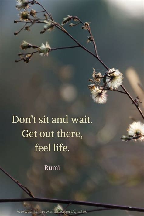 17 Best Images About Rumi On Pinterest Persian Wild