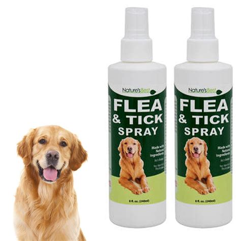 Best Natural Tick Repellent Dogs Pest Phobia