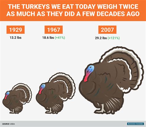 Best 30 Thanksgiving Turkey Size Most Popular Ideas Of All Time