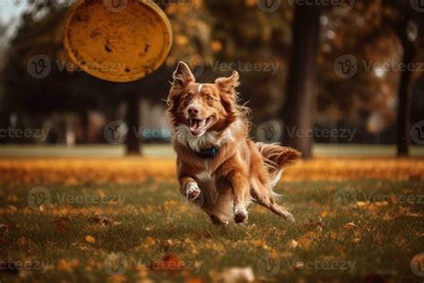 Depict a joyful dog chasing and catching a Frisbee thrown by its owner