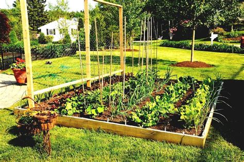 Holz bett selber bauen ideen. Gemüse Garten Bett Ideen #Gartendeko (mit Bildern ...