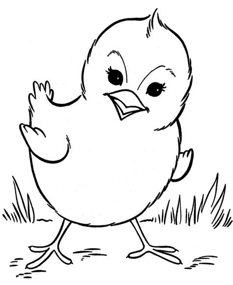 17 free printable duckling coloring pages in vector format, easy to print from any device and automatically fit any paper size. Chicken Pictures To Colour In - Cliparts.co