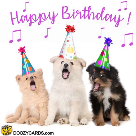 Happy Birthday Meme With Dogs Funny Dog Birthday Wishes