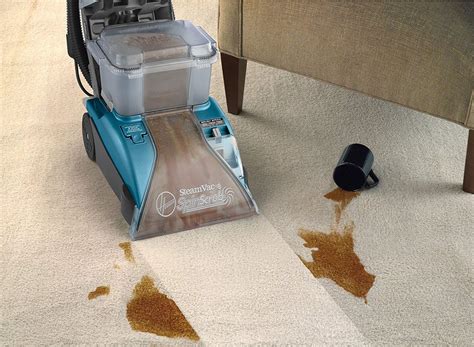 Therefore, the best carpet for a. 10 Best Cheap Carpet Cleaners Reviewed | JocoxLoneliness