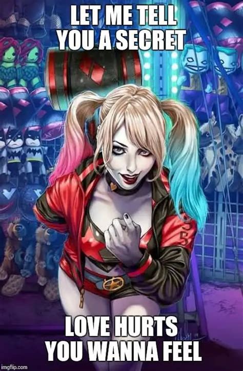 39 Funny Harley Quinn Meme S Photos And Pictures Picsmine