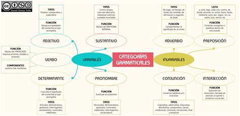 Litoral Todo El Tiempo Casete Categorias Gramaticales Esquema Juez