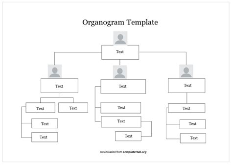 08 Free Organogram Templates Ms Word Excel And Powerpoint