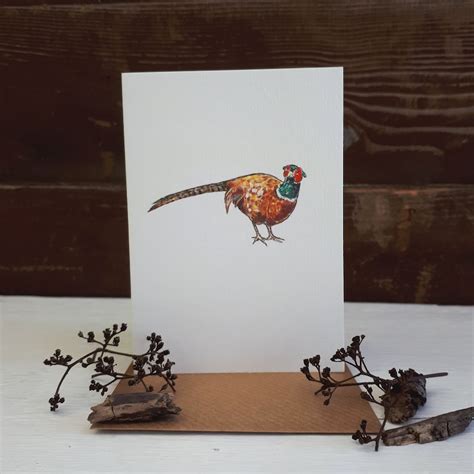 Pheasant Note Cards Pack Of 4 Pheasant Note Cards Folded Etsy