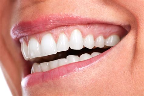 We did not find results for: Dental Care and Heart Health - Memphis, TN - General Dentistry