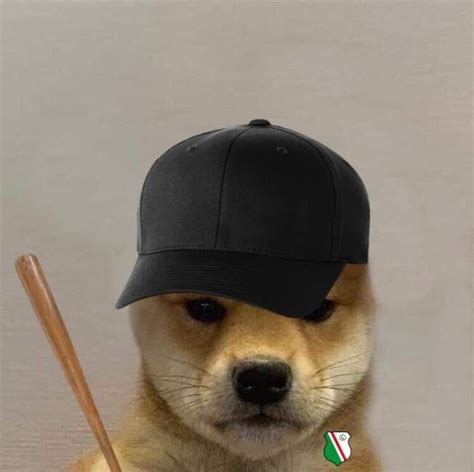 Pin By Stilly On Only Doge Dog Icon Dog Memes Dog Images