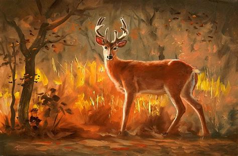 Deer In Autumn Forest Forest Fall Art Autumn Lovely Colors
