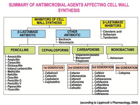 Antibiotic Summary Table