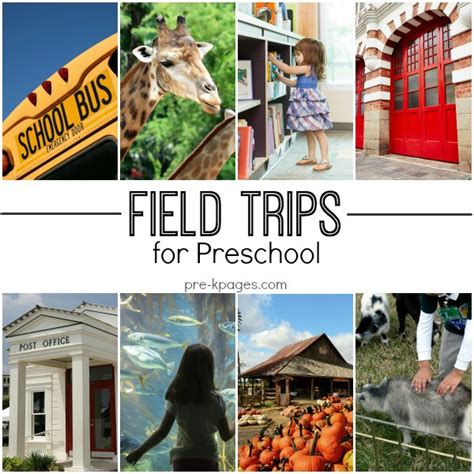 Field Trip Ideas For Preschool And Kindergarten