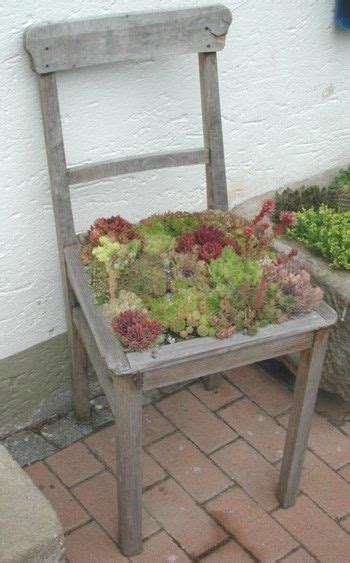 Wie können sie eine zinkwanne bepflanzen, welche pflanzen sind dafür geeignet und viele hübsche. bepflanzter Stuhl - #bepflanzter #Chair #Stuhl | Plants ...