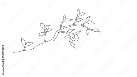 Animated Self Drawing Of Continuous Line Draw Leaf Hanging From Tree