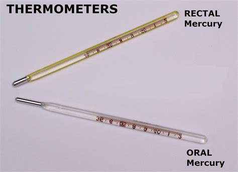 Termómetro Oralrectal Del Mercury Termómetro Oralrectal Del Mercury