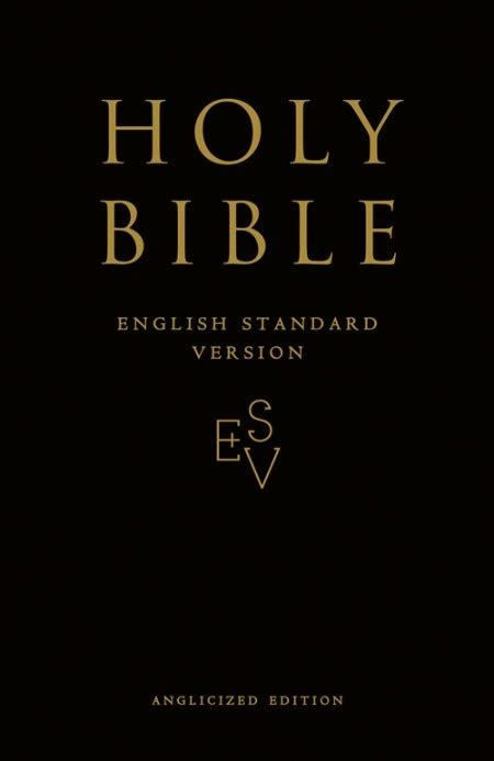 All the circumcised believers who came with peter were amazed, because. Holy Bible: English Standard Version (ESV) Anglicised ...