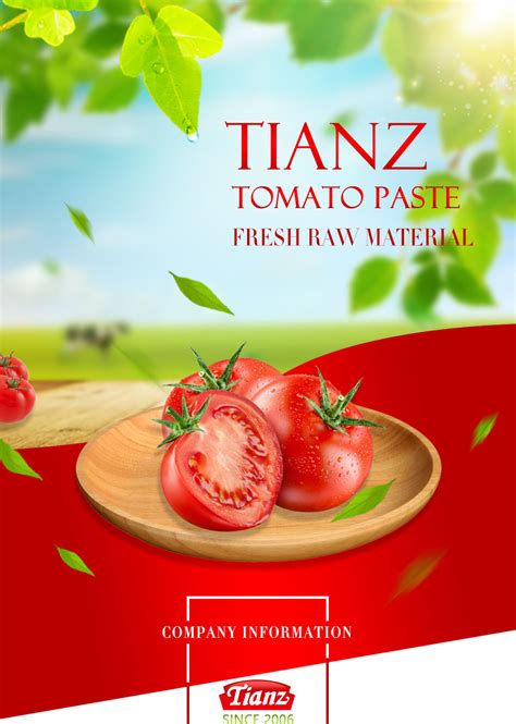 Tomato Chilli Sauce Tomato Paste Tomato Paste Suppliers China Tomato Paste Factoryand Other