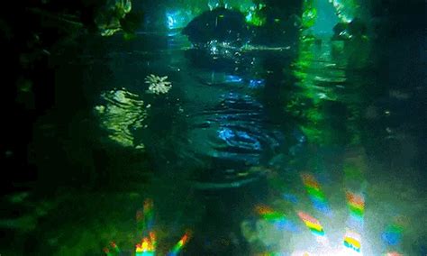 Anime green screen znalezione gify gfycat. green aesthetic | Green aesthetic, Aesthetic gif, Slytherin aesthetic