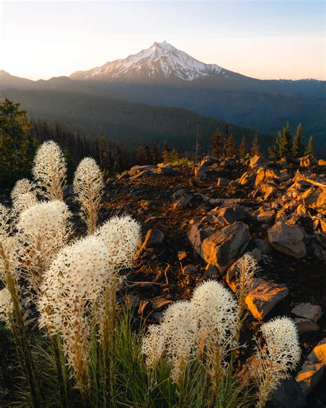 Triangulation Peak View Of Mount Jefferson Explorest