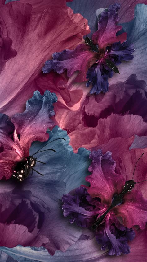 2160x3840 Irises Butterflies Sony Xperia Xxzz5 Premium Hd 4k