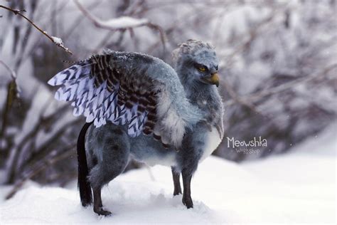 Hippogriff By Miaushka Workshop On Deviantart Fantasy Creatures Art