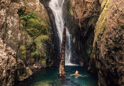 23 Best Waterfalls In Cairns And Surrounds 2020 We Seek Travel Blog
